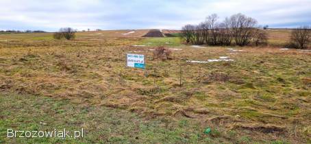 Grunt rolny z potencjałem – Jędruszkowce