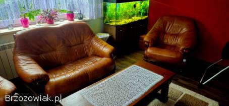 Wypoczynek skórzany