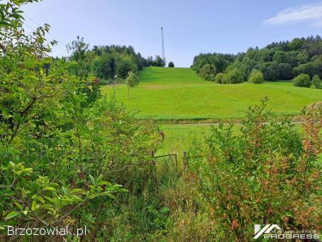 Dom 63m2 w atrakcyjnej lokalizacji – POLAŃCZYK /Solina/.