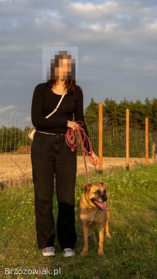 Aza -  wesoła,  łagodna,  rodzinna sunia!