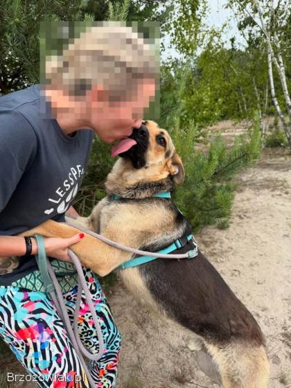 Magnus -  młody,  niesamowicie wesoły i przyjazny psiak!