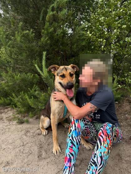 Magnus -  młody,  niesamowicie wesoły i przyjazny psiak!