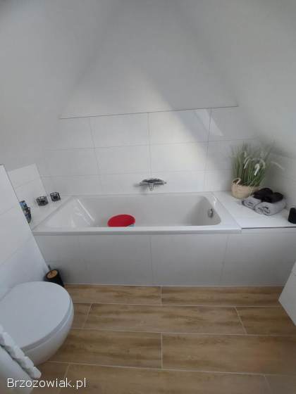 Glazurnik,  kafelkarz,  układanie płytek,  płytki,  glazura