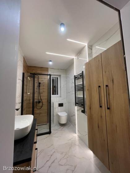 Wykończenia wnętrz,  glazura,  taras,  sztukateria,  brukarstwo