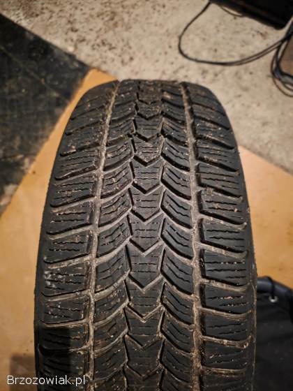 Opony zimowe Dębica frigo hp2 205/55/r16