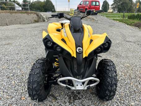 Can Am Renegade mały przebieg