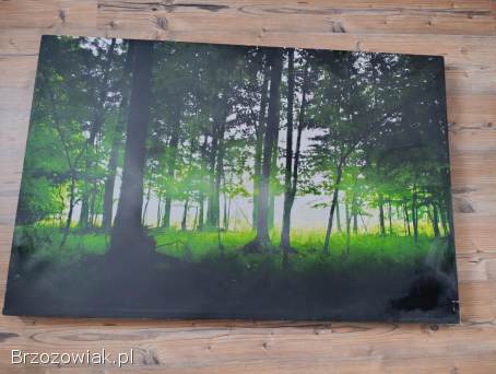 Obraz na płótnie 120/80cm
