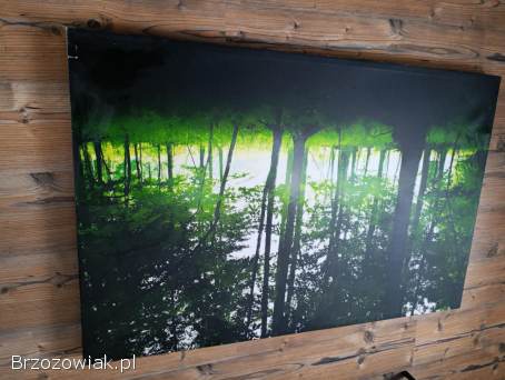 Obraz na płótnie 120/80cm