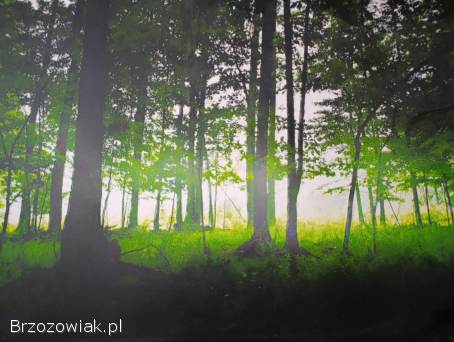 Obraz na płótnie 120/80cm