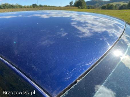 Volkswagen Polo V 2009