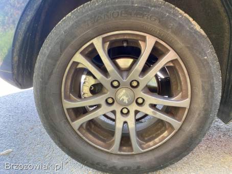 Volkswagen Polo V 2009