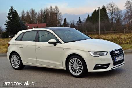 Audi A3 8V 2013
