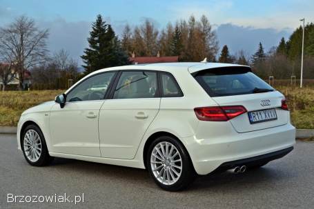 Audi A3 8V 2013