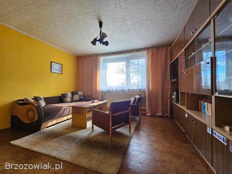 Dom w centrum Korczyny,  działka 17ar