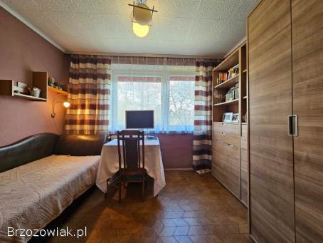 Dom w centrum Korczyny,  działka 17ar