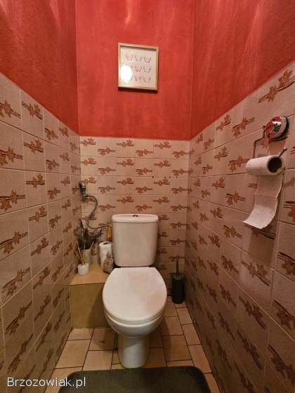 Dom w centrum Korczyny,  działka 17ar