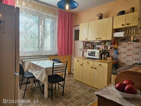 Dom w centrum Korczyny,  działka 17ar