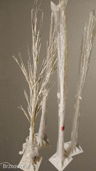 Brzoza LED 170cm