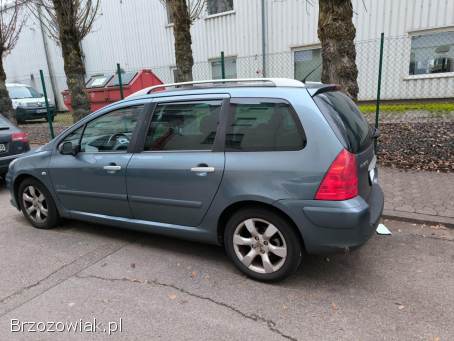 Peugeot 307 Kombi SW 2007