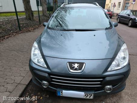 Peugeot 307 Kombi SW 2007