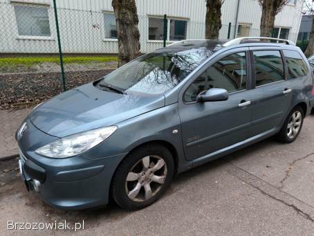Peugeot 307 Kombi SW 2007