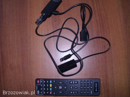 Tuner telewizji naziemnej