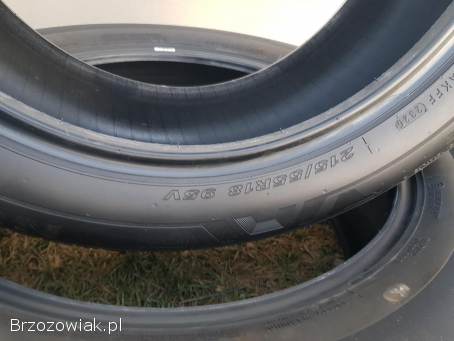 Opony letnie 18 cali Nexen Nfera Primus 215/55 R18 95 V