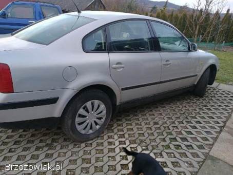 Volkswagen Passat 4motion 1999