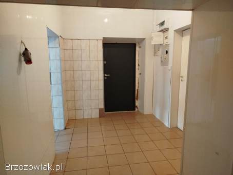 Lokal do wynajęcia Orzechówka