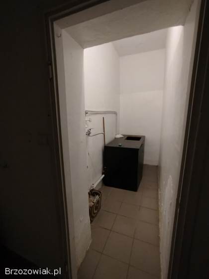 Lokal do wynajęcia Orzechówka