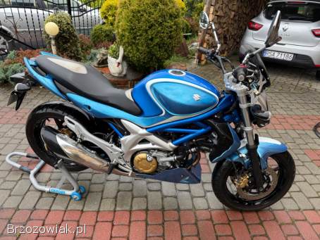 Suzuki SFV 2010