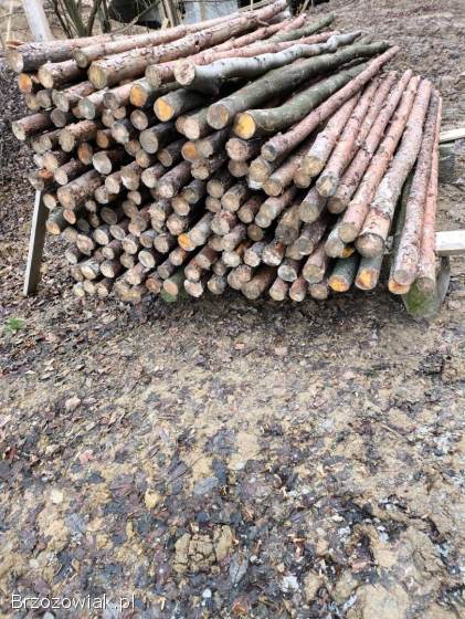 Sprzedam stemple 250cm