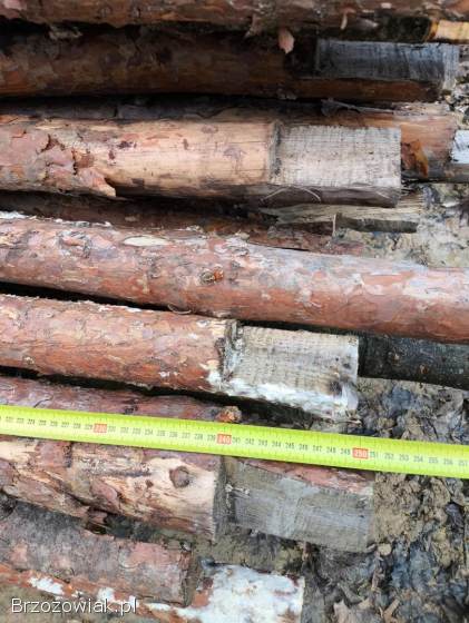 Sprzedam stemple 250cm