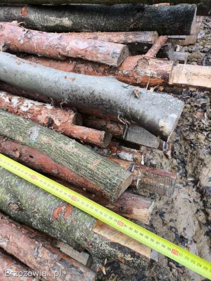 Sprzedam stemple 250cm