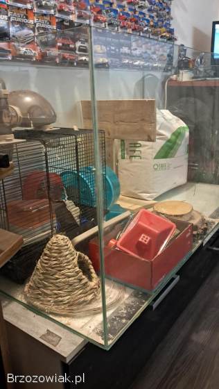 Akwarium terrarium -  zestaw do hodowli