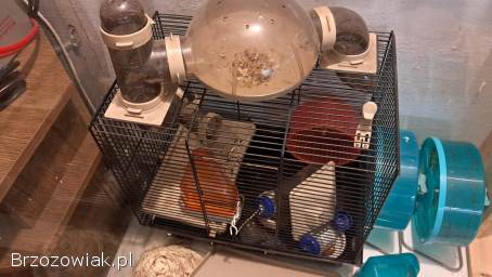 Akwarium terrarium -  zestaw do hodowli