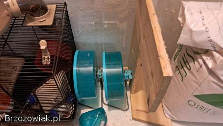 Akwarium terrarium -  zestaw do hodowli