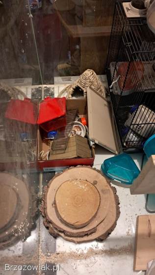 Akwarium terrarium -  zestaw do hodowli