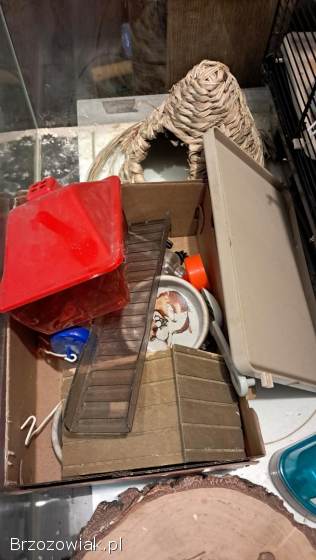 Akwarium terrarium -  zestaw do hodowli