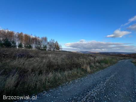 Hłudno -  Wara Działki Rekreacyjno-Inwestycyjne