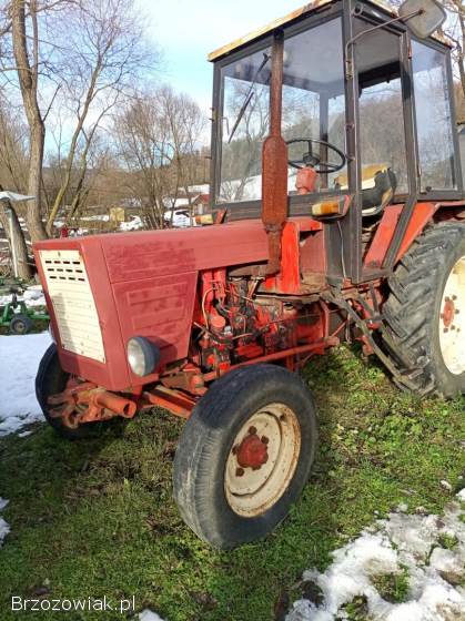 Sprzedam władymirca t25