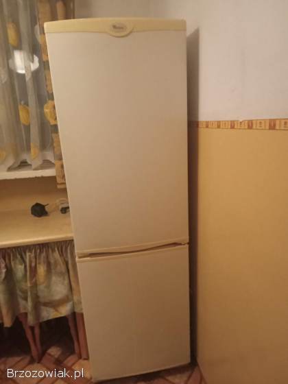 Kuchenka gazowa,  lodówka,  okap