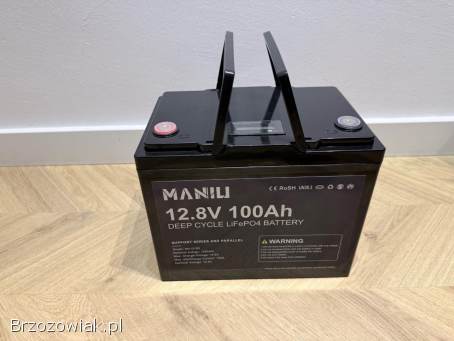 Akumulator LiFePO4 100Ah magazyn energii