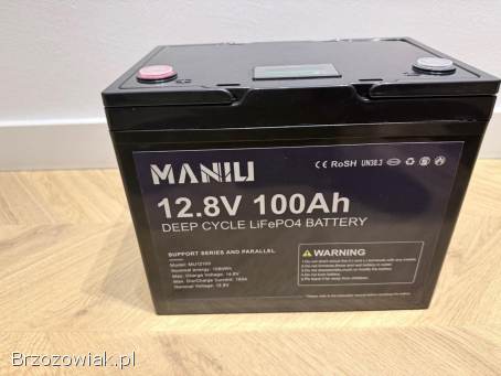 Akumulator LiFePO4 100Ah magazyn energii