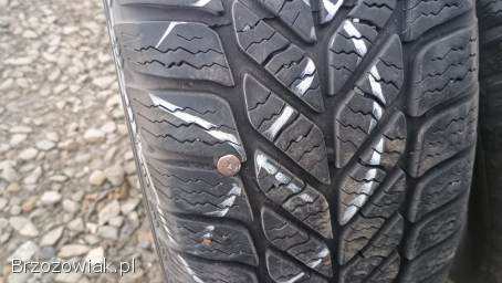 Opony zimowe 15 195 65