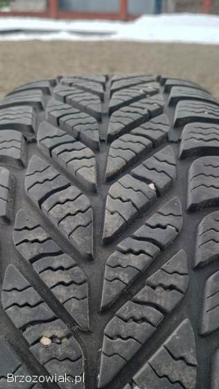 Opony zimowe 15 195 65