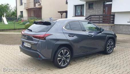 Lexus UX200 GPF Business  2022
