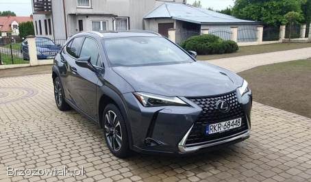 Lexus UX200 GPF Business  2022