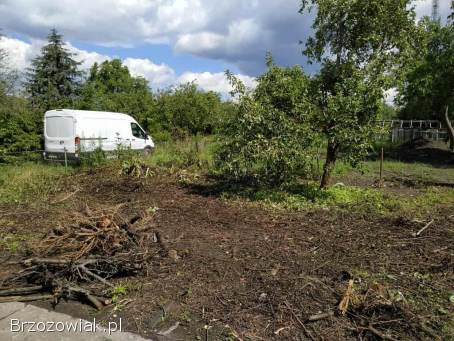 Terenlux -  usługi ogrodnicze,  roboty ziemne,  wycinka drzew i krzewów ogrodnik