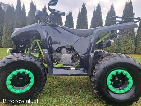 Quad BERETTA KXD Bombardier 150 cc 19 r